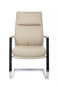 ������ Riva Chair Leon-SF RCH D916 ������� ��������