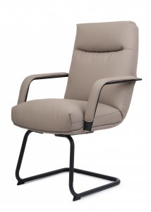 ������ ���� CV-P001BS ������� �������