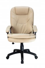 ������ Riva Chair RCH 1168 PL ������� �������