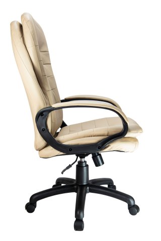 ������ Riva Chair RCH 1195 PL ������� �����
