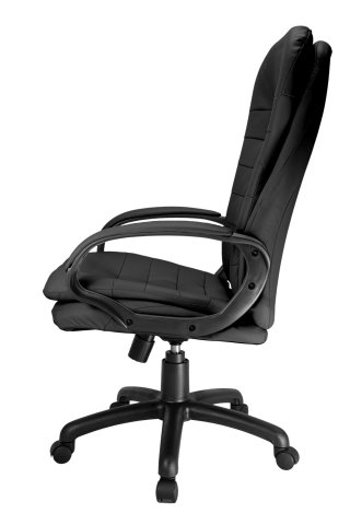 ������ Riva Chair RCH 1195 PL ������� �����