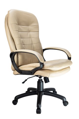 ������ Riva Chair RCH 1195 PL ������� �����