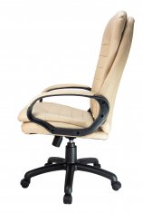 ������ Riva Chair RCH 1195 PL ������� �����