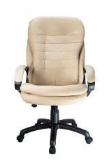 ������ Riva Chair RCH 1195 PL ������� �����