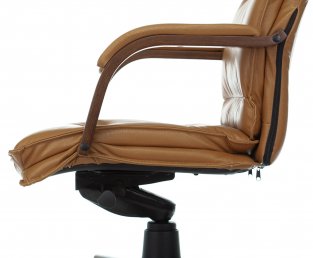 ������ �������� T-9927WALNUT ���������