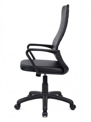 ������ ���� RCH-1165-4 PL ������� ������