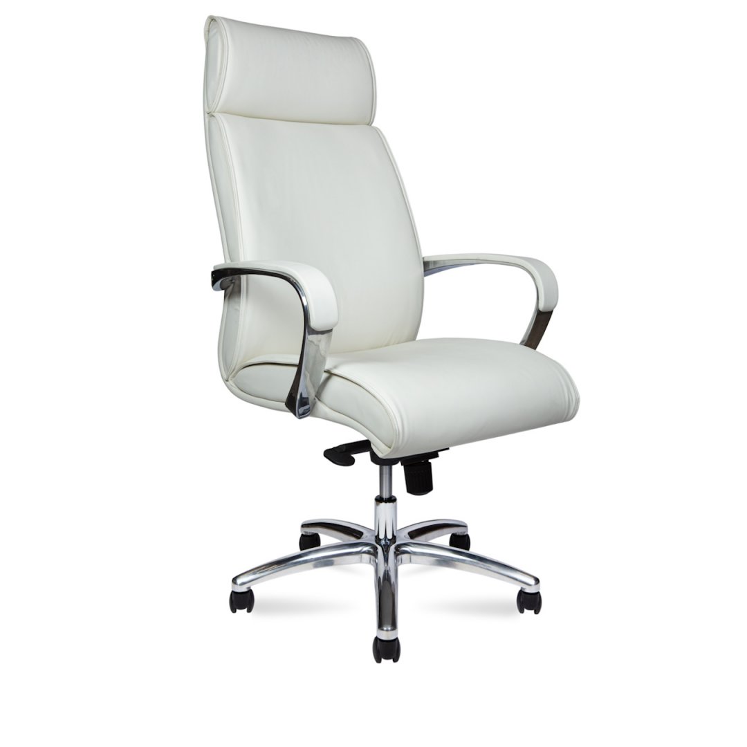 ������ �������� ������ ������� / Sorbonne Ivory