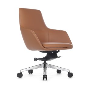 ������ ����-� (B1908) ���� ������-����������