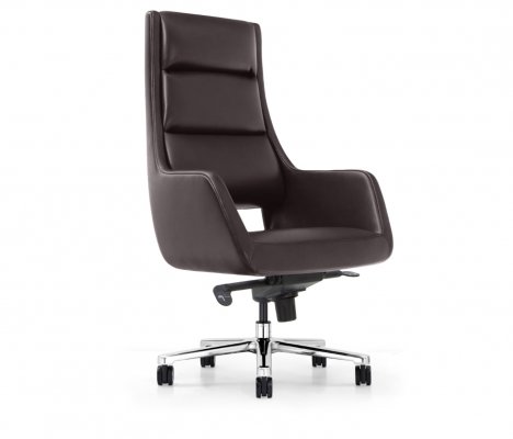 ������ ����� (DLN-01) ������� ����������