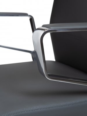 ������ ���� ���� ���� ����� / West Grey