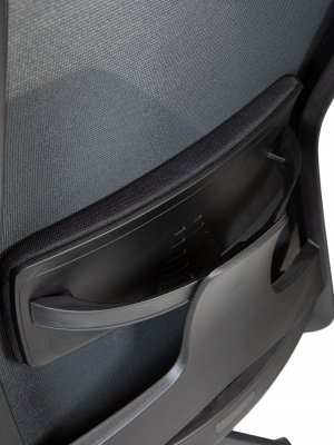 ������ �������� ���� �� / Williams Black Lb �����/����� ������