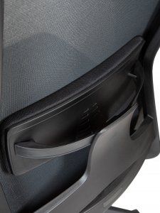 ������ �������� ���� �� / Williams Black Lb �����/����� ������