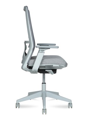 ������ �������� ���� �� / Williams Grey Lb �����/����� �����