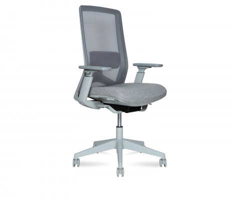 ������ �������� ���� �� / Williams Grey Lb �����/����� �����