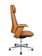 ������ ���� ���� ���������� / York 