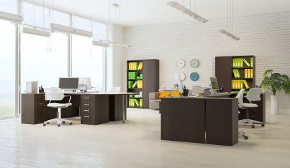������ ����