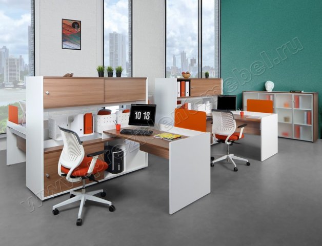 ������ ProfiQuadro