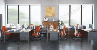 ������ ProfiQuadro