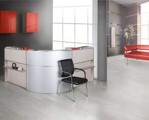 ������� Practic Reception