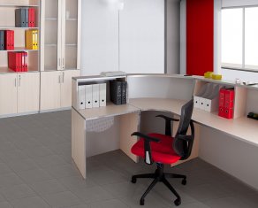 ������� Practic Reception