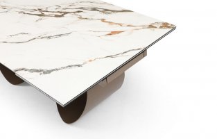 ���� ��� ����������� DT9305CI ��������