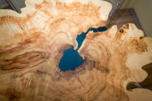 ���� ��� ����������� ������ / Ecowood