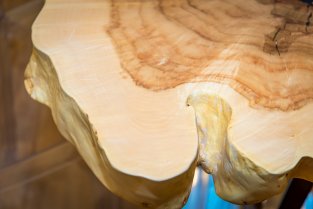 ���� ��� ����������� ������ / Ecowood