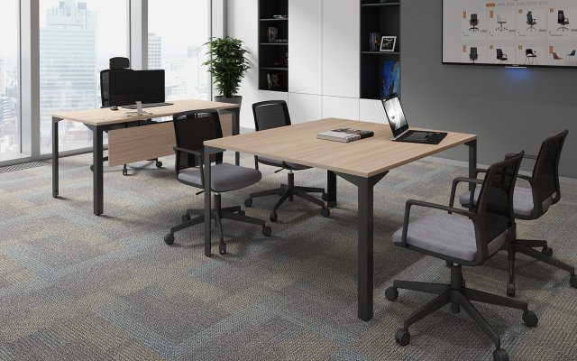 ���� ��� ����������� ��� ������ / Ray Meeting
