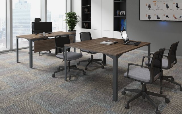 ���� ��� ����������� ��� ������ / Ray Meeting