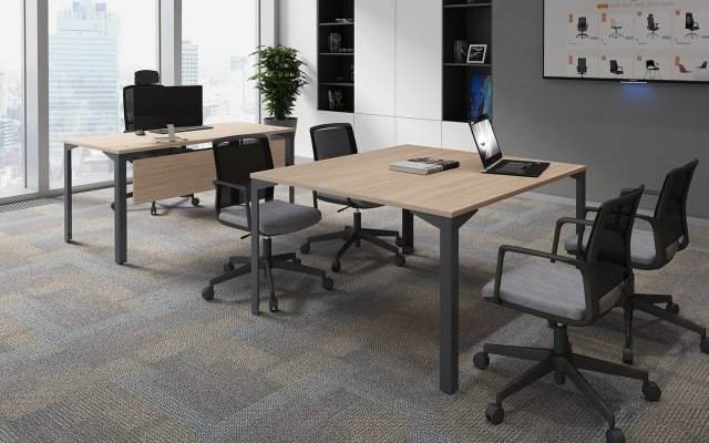 ���� ��� ����������� ��� ������ / Ray Meeting