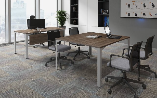 ���� ��� ����������� ��� ������ / Ray Meeting