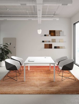 ���� ��� ����������� ��� ������ / Ray Meeting