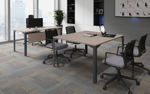 ���� ��� ����������� ��� ������ / Ray Meeting