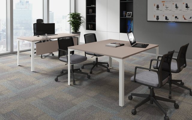 ���� ��� ����������� ��� ������ / Ray Meeting
