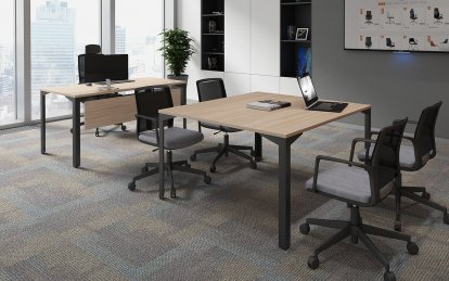 ���� ��� ����������� ��� ������ / Ray Meeting