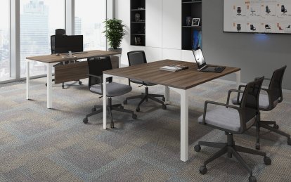 ���� ��� ����������� ��� ������ / Ray Meeting