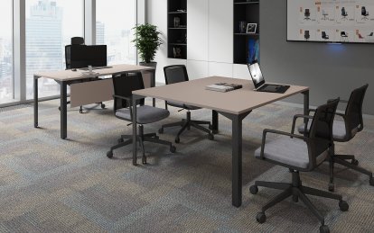���� ��� ����������� ��� ������ / Ray Meeting
