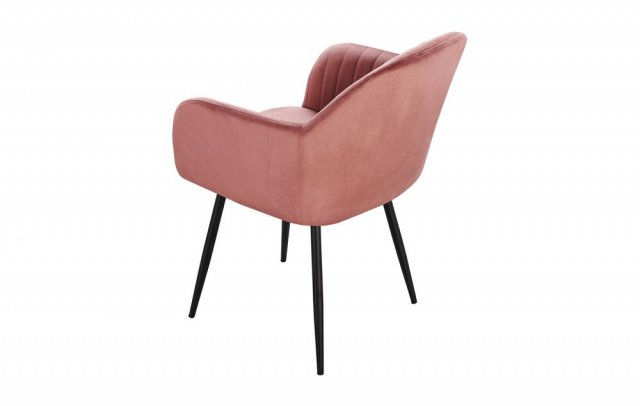 ���� DC8174 Rose