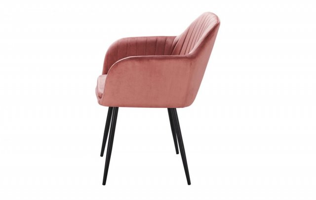 ���� DC8174 Rose