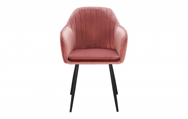 ���� DC8174 Rose