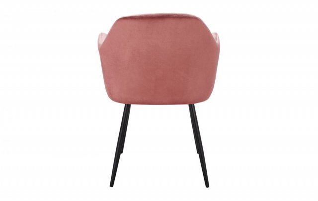 ���� DC8174 Rose