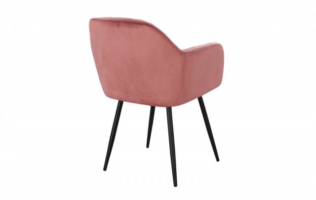 ���� DC8174 Rose