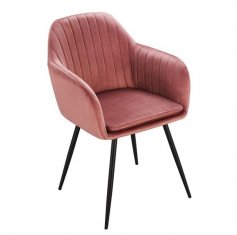 ���� DC8174 Rose