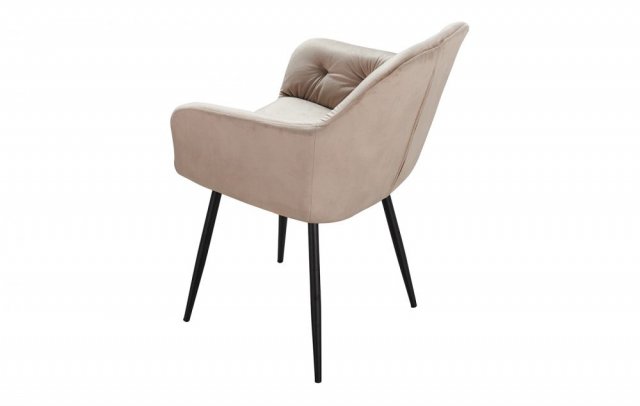 ���� DC8175 Beige
