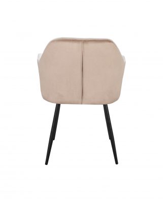 ���� DC8175 Beige