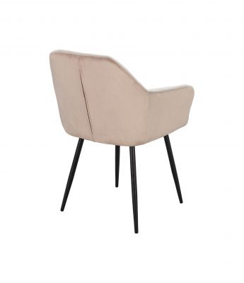 ���� DC8175 Beige