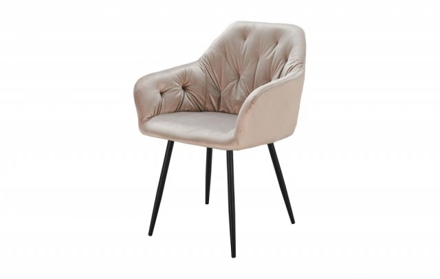 ���� DC8175 Beige