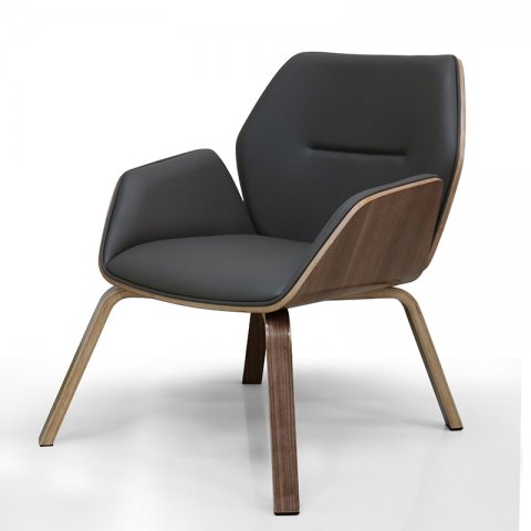 ���� ������ ������� / Design Visitor