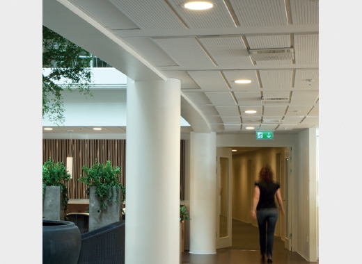 ������������ ����������� Amy LED