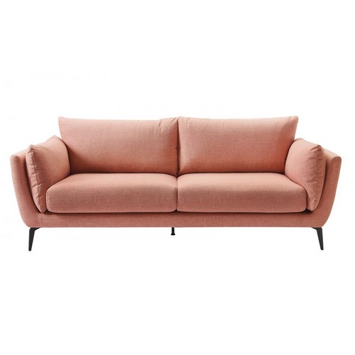 ����� Amsterdam Coral �����������, ���� ����������
